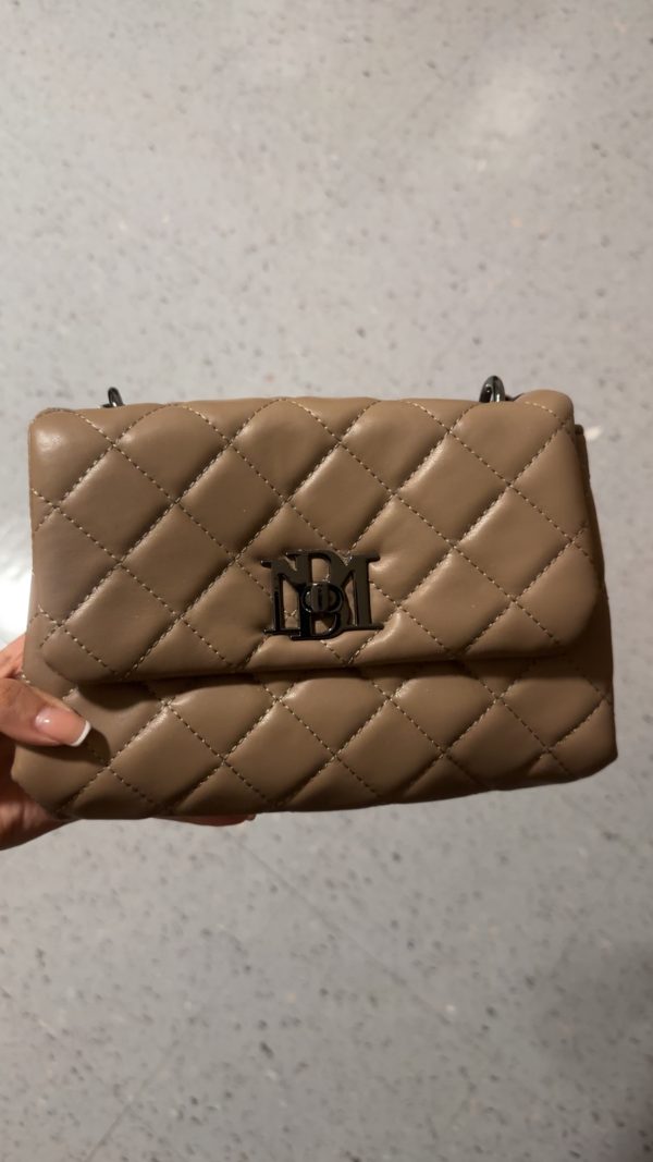 Badgley Mischka bag