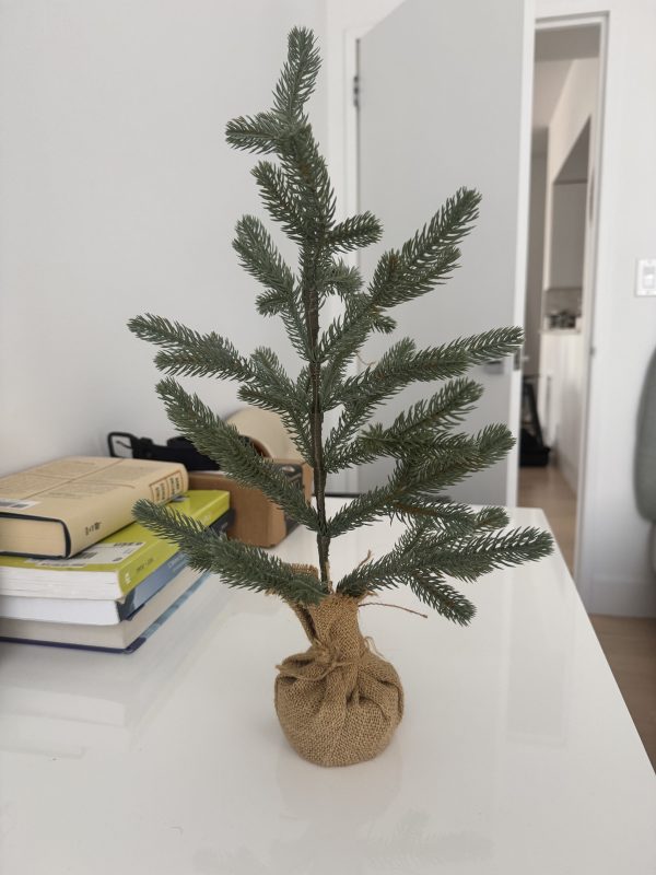 Small Christmas Tree