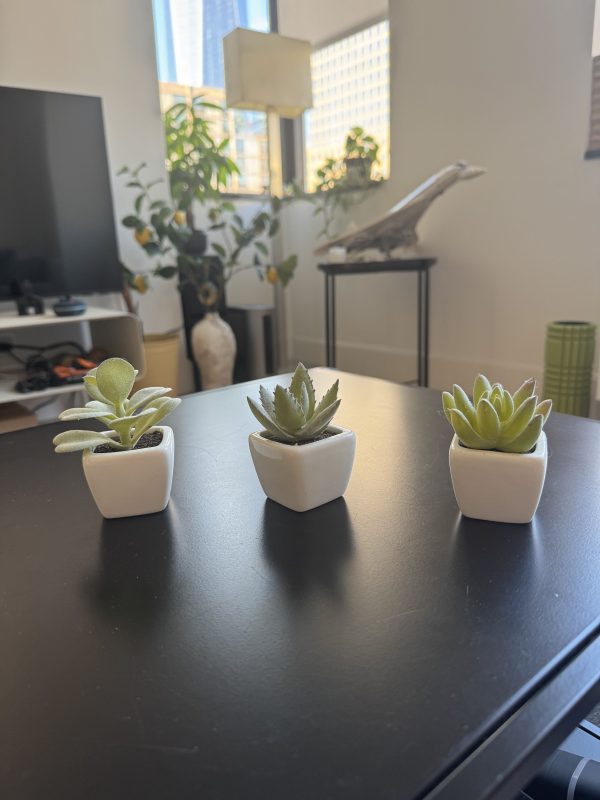 3 Artificial Succulent Plants - Image 2